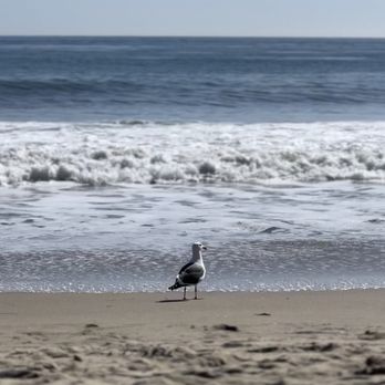 El Pescador State Beach - Beaches Near Me - Malibu, California