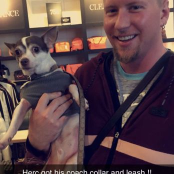 Coach Outlet - Coach pet accessories - Outlet Stores Near Me - Folsom, California Coach Outlet - Coach pet accessories - Outlet Stores Near Me - Folsom, California