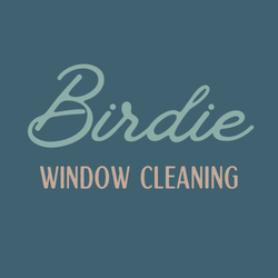 Birdie Window Cleaning