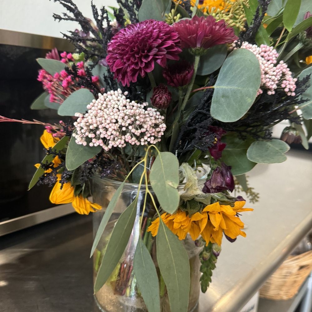 Flowers In Ocala Florida Best Flower Site