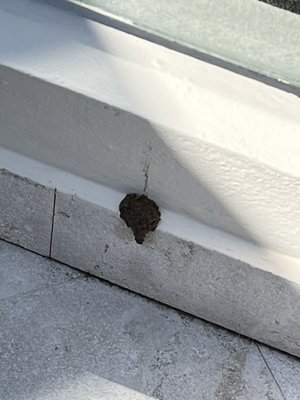 Sandos Caracol Nature Resort & Water Park by null