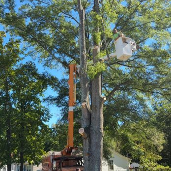 B&K Landscaping and Grading - Customer tree in Rock hill - Landscaping Near Me B&K Landscaping and Grading - Customer tree in Rock hill - Landscaping Near Me