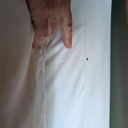 BED BUG BED BUG