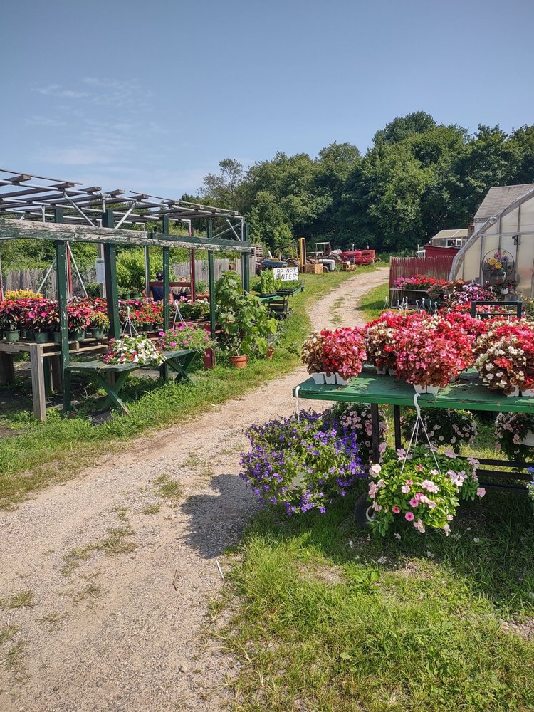 SCHNEIDERS FARM Updated May 2024 21 Photos & 10 Reviews 324 Old Country Rd, Melville, New