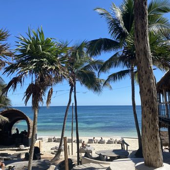 Papaya Playa Restaurant - Seafood Near Me - Tulum, ROO