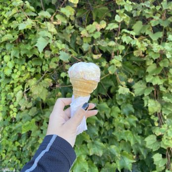 Nelson Cheese Factory - Strawberry Rhubarb Crunch Kids Cone - Cheese Shops Near Me - Nelson, Wisconsin Nelson Cheese Factory - Strawberry Rhubarb Crunch Kids Cone - Cheese Shops Near Me - Nelson, Wisconsin