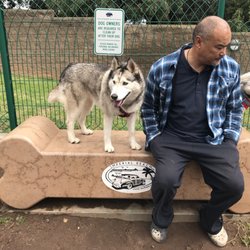 Veteran's Park Dog Park - 3.2.19 Chilling at this Dog Park with Kalia, Cam, & Jedi