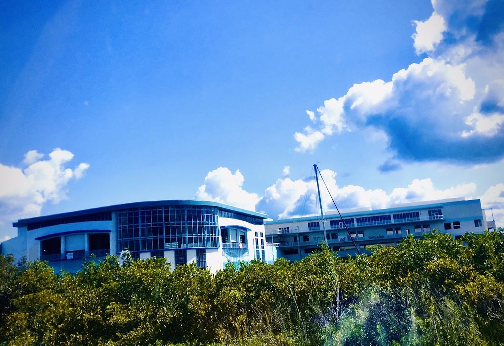 CLEARWATER MARINE AQUARIUM Updated May 2024 1012 Photos & 728