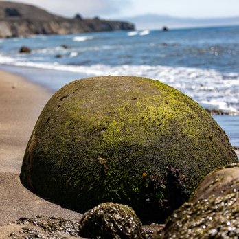 Bowling Ball Beach - Bowling Ball Beach - Beaches Near Me - Point Arena, California