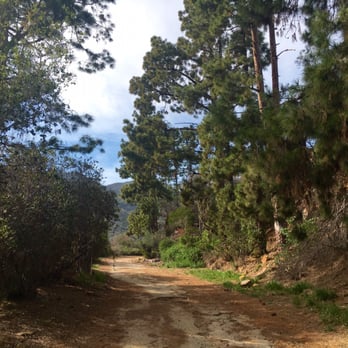 Murphy Ranch Trail - Hiking Near Me