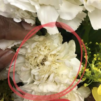Princess Flowers - Browning of a white carnation upon delivery - Florists Near Me - La Crescenta, California Princess Flowers - Browning of a white carnation upon delivery - Florists Near Me - La Crescenta, California