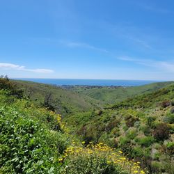 Zuma Canyon Trail