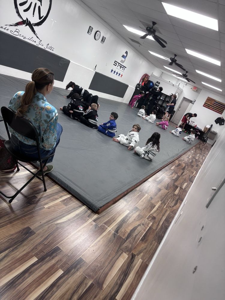 FlowHouse Brazilian Jiu Jitsu Logo