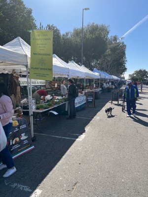 Sherman Oaks Farmers Market by null