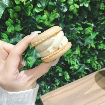 The Social Blend - Injeolmi Macaron - Coffee & Tea Near Me - Toronto, Ontario The Social Blend - Injeolmi Macaron - Coffee & Tea Near Me - Toronto, Ontario