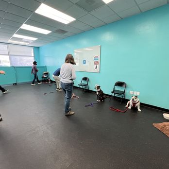 South Bay Dog Training - Pet Training Near Me - Campbell, California South Bay Dog Training - Pet Training Near Me - Campbell, California