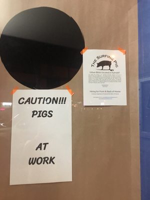 The Surfing Pig Hawaii by null
