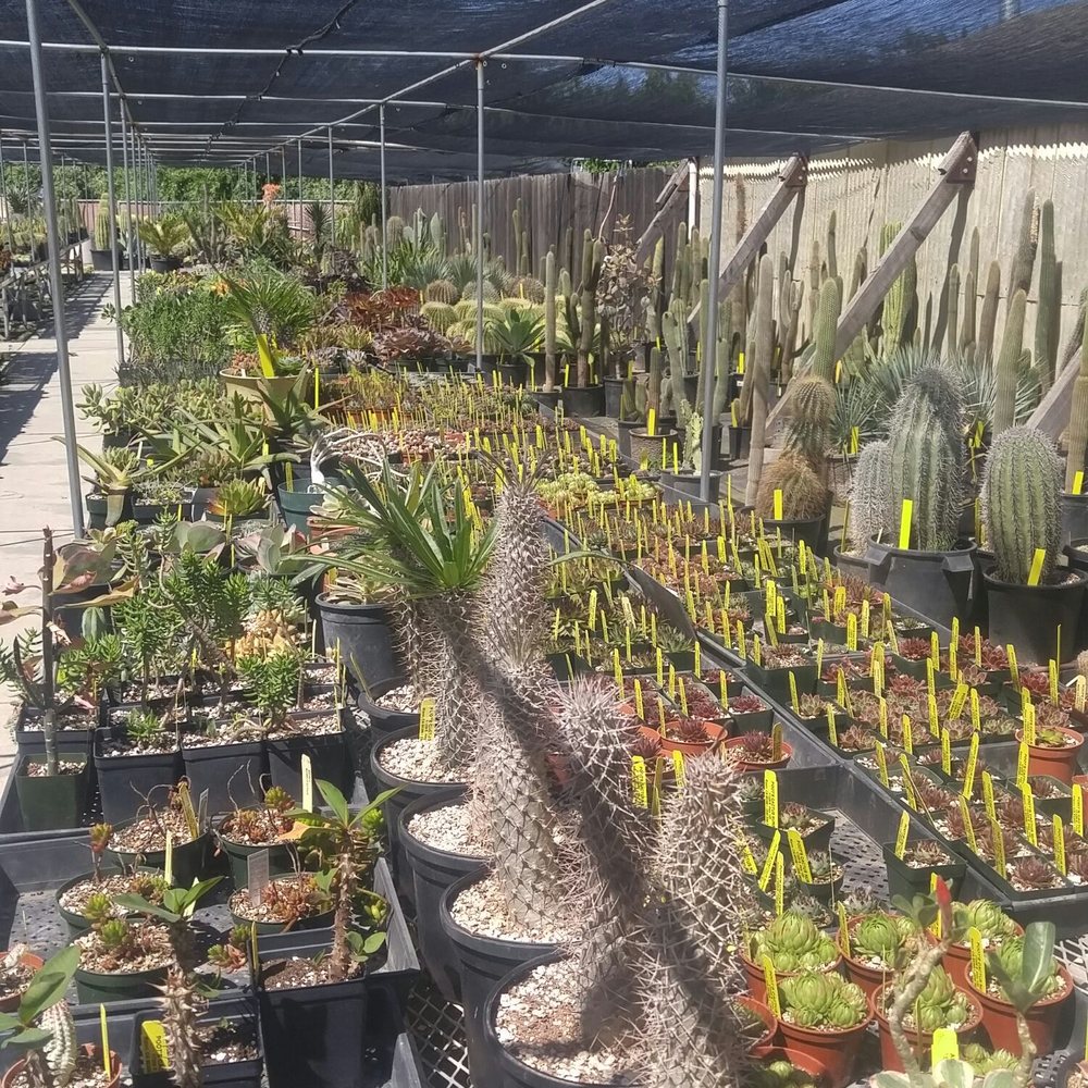 Poot's Cactus Nursery - Nurseries & Gardening Near Me - Ripon, California Poot's Cactus Nursery - Nurseries & Gardening Near Me - Ripon, California