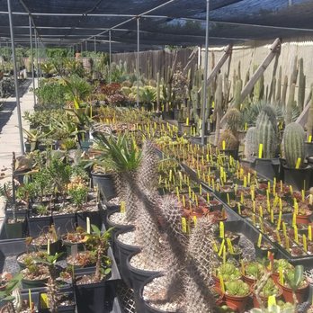 Poot's Cactus Nursery - Nurseries & Gardening Near Me - Ripon, California