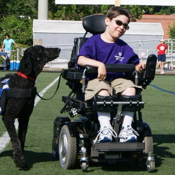 Highland Canine Training, LLC - Offering Service Dog Training for individuals with mobility, hearing and seizure impairments as well as those affected by Autism - Pet Training Near Me - Harmony, North Carolina