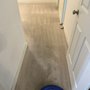 Steam Goonz Carpet Cleaning