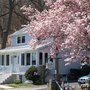 Cozy Nest Cottages