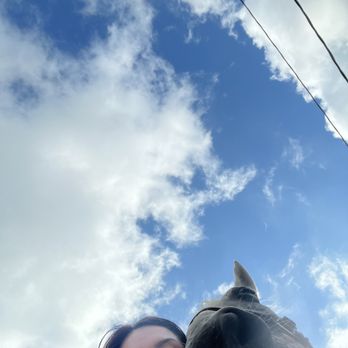 North Houston Horse Park - Boo and I - Horseback Riding Near Me - Conroe, Texas North Houston Horse Park - Boo and I - Horseback Riding Near Me - Conroe, Texas