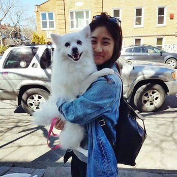 Korean K9 Rescue - With my first dog Bomee - Animal Shelters Near Me - Astoria, New York