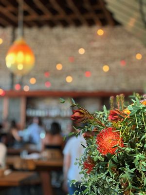 Almond and Oak by null