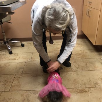 Montclair Pet Hospital - Veterinarians Near Me - Oakland, California