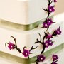 Photo of The Buttercream Bee