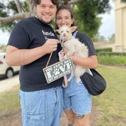 Pups’n Boots - Hazel has been adopted