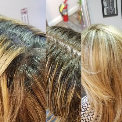 The Salon by Elba of New York by null