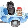 Photo of Blue Pooch Spaw