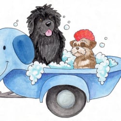 Blue Pooch Spaw