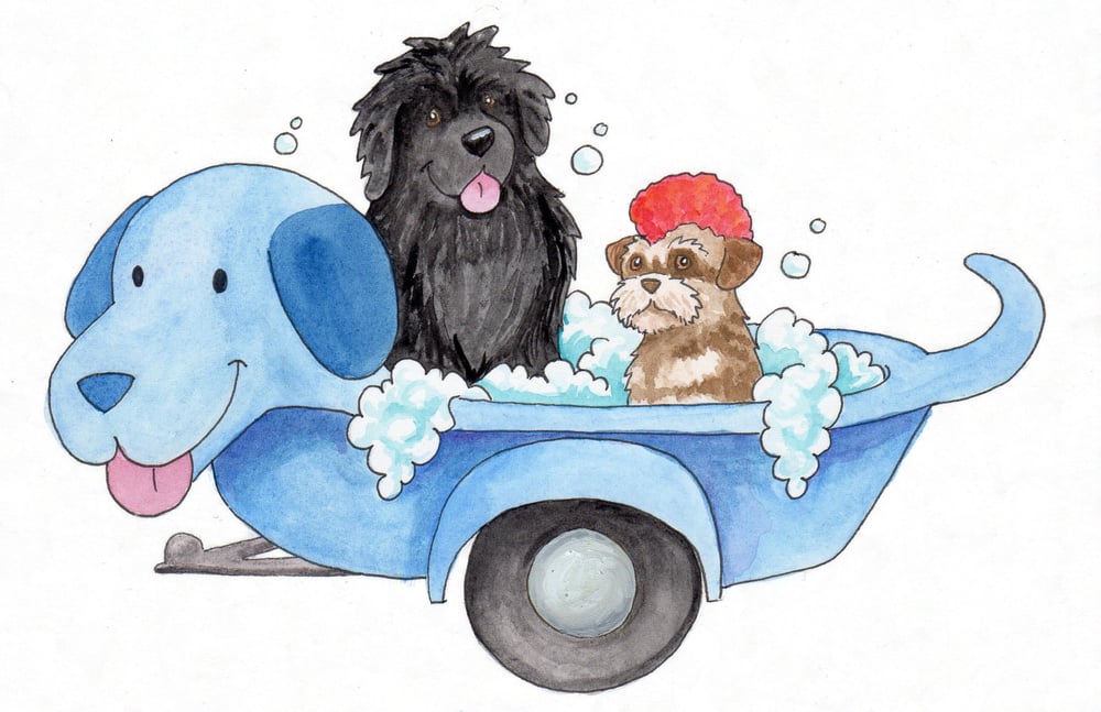 Blue Pooch Spaw Image
