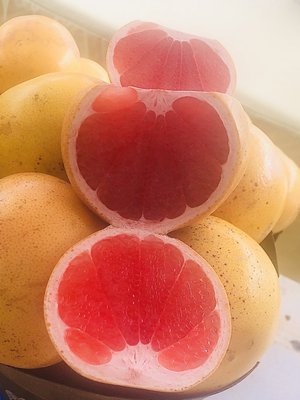 Cape Coral Farmers Market by null