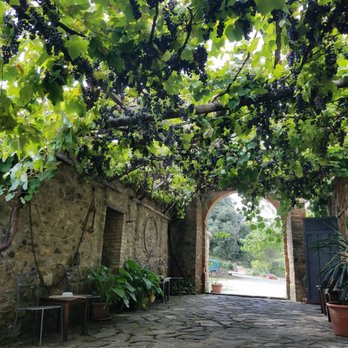 Boccon di Vino - Italian Near Me - Montalcino, SI Boccon di Vino - Italian Near Me - Montalcino, SI