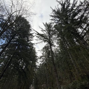Snoqualmie Point Park - Parks Near Me - Snoqualmie, Washington