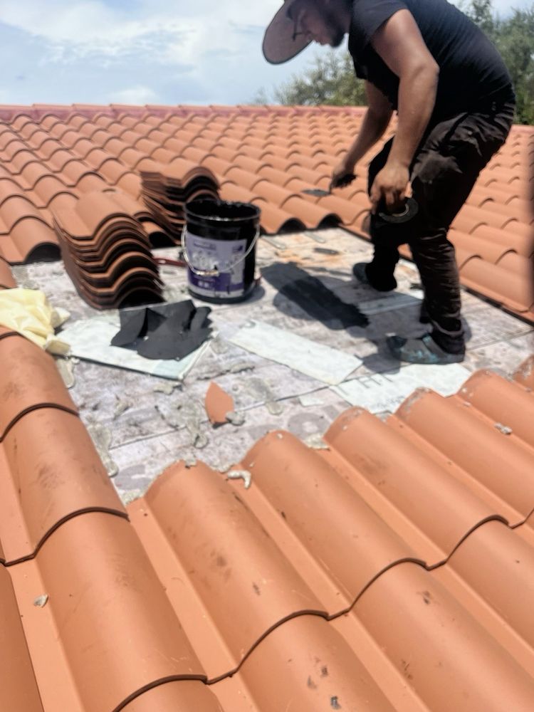 Slide of Janus Roofing