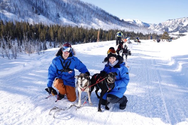 Jackson Hole Iditarod Sled Dog Tours by null
