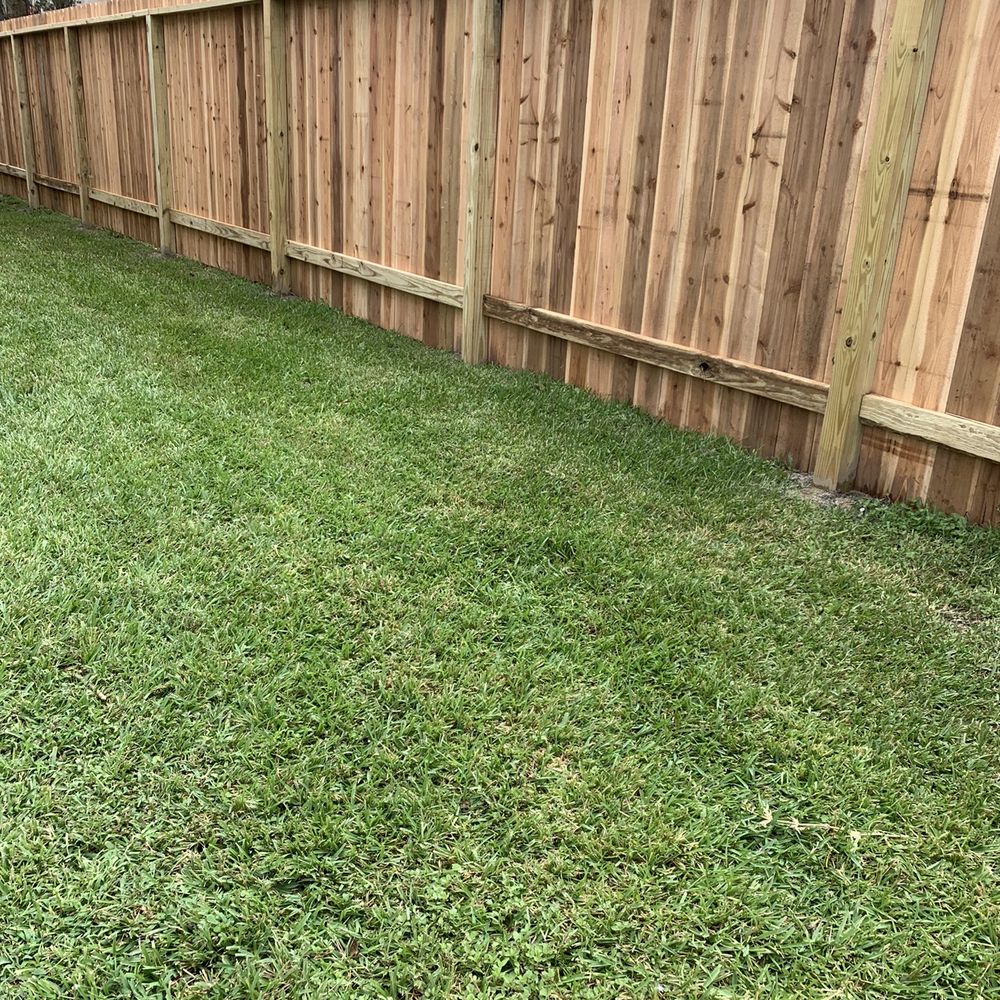 New fence New fence
