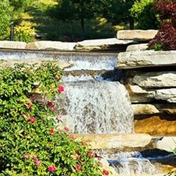 Allen Landscape in Highland
