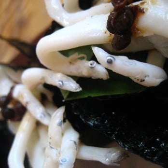 Sushi Ran - ice fish anyone? - Sushi Bars Near Me - Sausalito, California Sushi Ran - ice fish anyone? - Sushi Bars Near Me - Sausalito, California