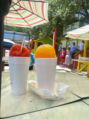 Tropical Express by null
