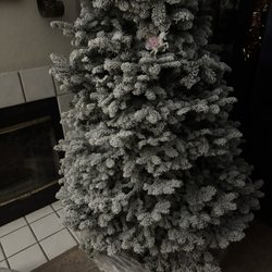 Sid's Christmas Trees - ....