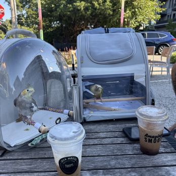 Java House - Coffee & Tea Near Me - Indianapolis, Indiana