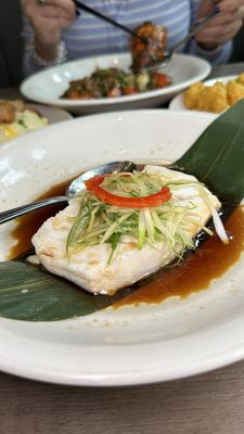 Collage Culinary Experience by null