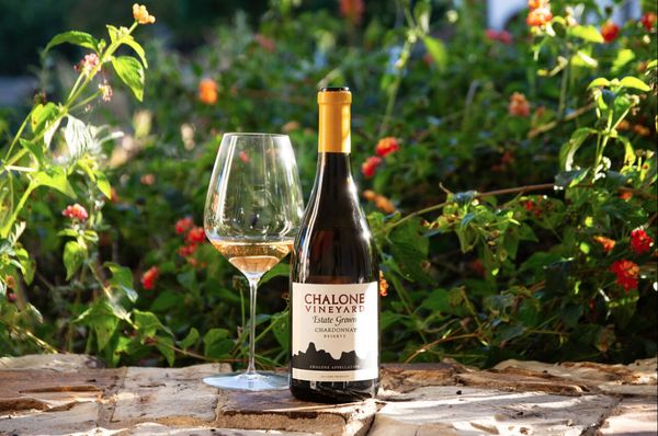 Chalone Vineyard by null