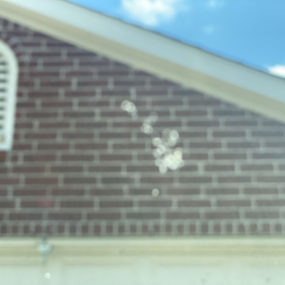 Windshield bird poop Windshield bird poop